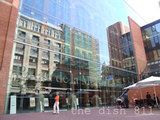 thedish811