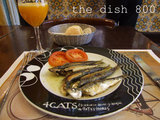 thedish800