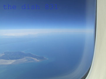 thedish831