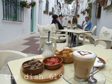 thedish619