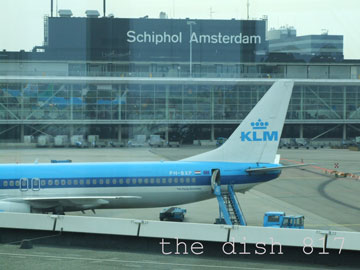 thedish817