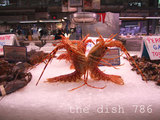 thedish786
