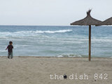 thedish842