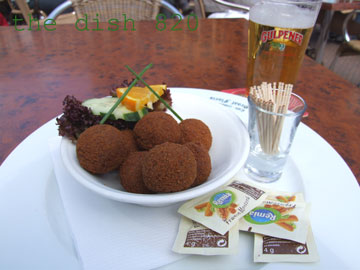 thedish820