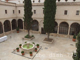 thedish775
