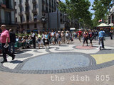 thedish805