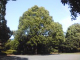 e989d2ef.jpg