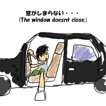 window