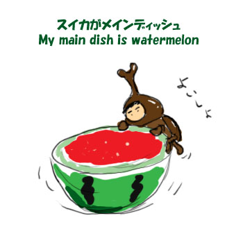 watermelon