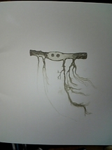 8b776e4f.jpg