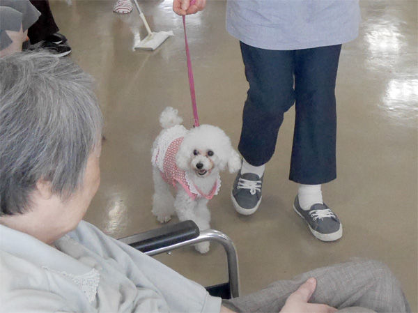 ビビアン2