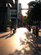 眩しい朝日。