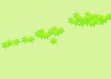 shinryoku