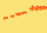 maple