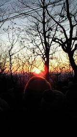 6dda9006.jpg
