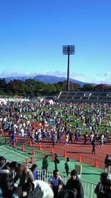 fff955db.jpg