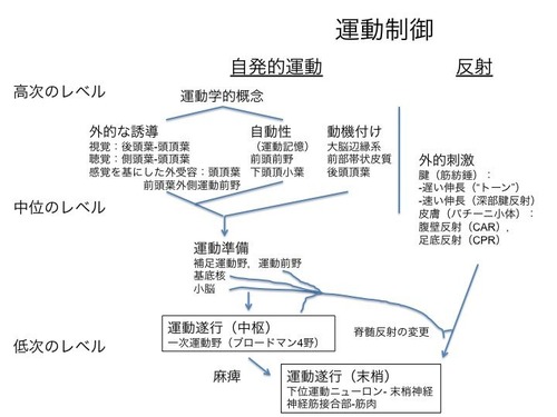スライド1