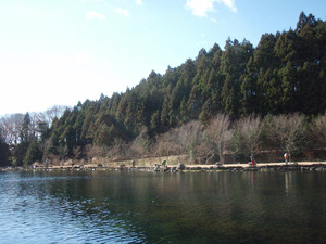 a_PC170193