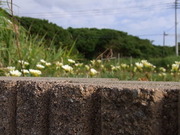 RIMG0626