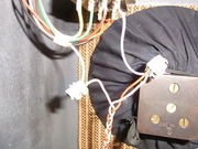 RIMG0359