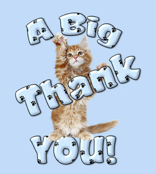 thank%20you%20card1