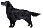 image3258