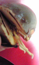 5520a408.jpg