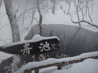 DSC02539