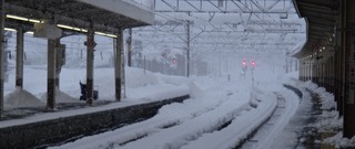 DSC00550