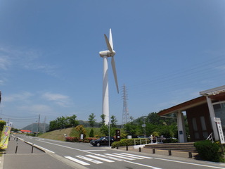DSC02956