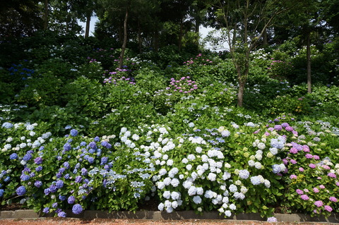 15849FB5-05C0-43E5-9497-B1A1244F2CF6
