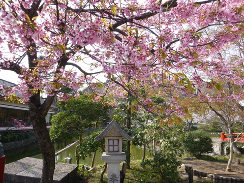 P1000902