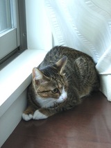 Revy20090701