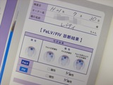 Inspection20090730