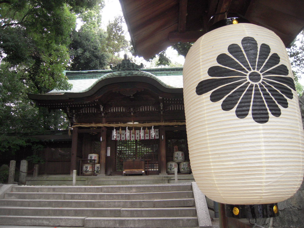 DSCN8756