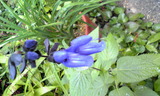 9c0fc598.JPG