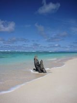 beach heaven2.jpg