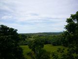 green view