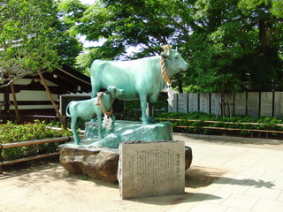 CIMG5372