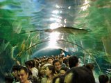 水族館