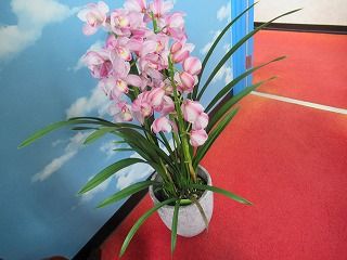 IMG_0361