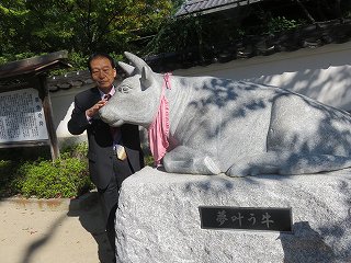 IMG_6463