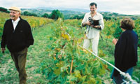 mondovino