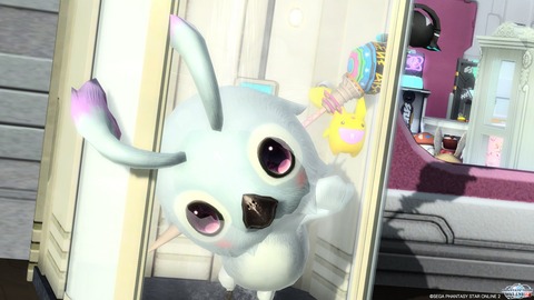 らぴめるちゃん