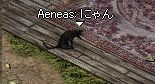 あえさんまで