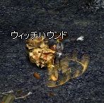 haro 剣