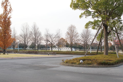 DSC00223
