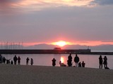 6e832d77.jpg