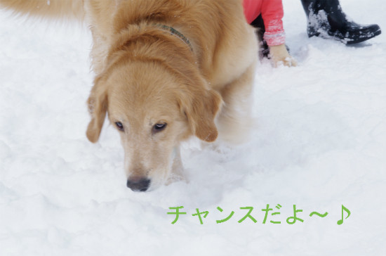 BlogPaint