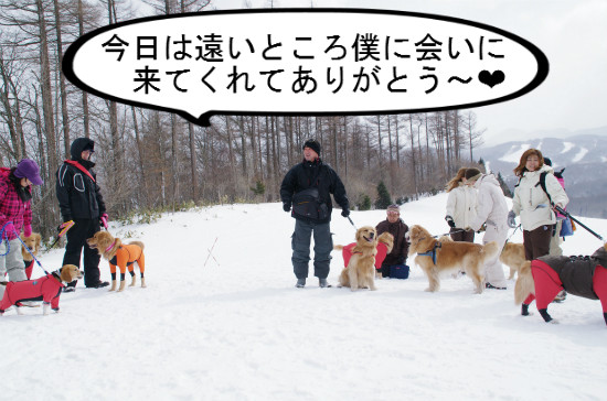 BlogPaint